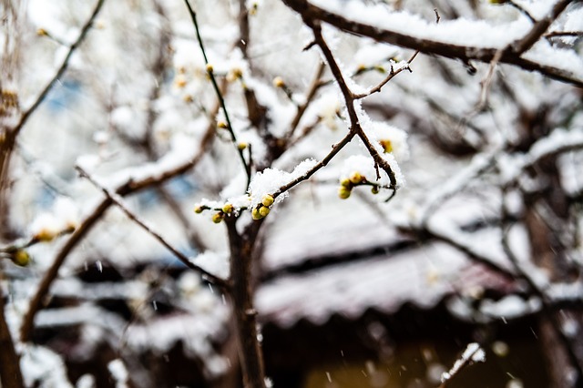 席虽然是一